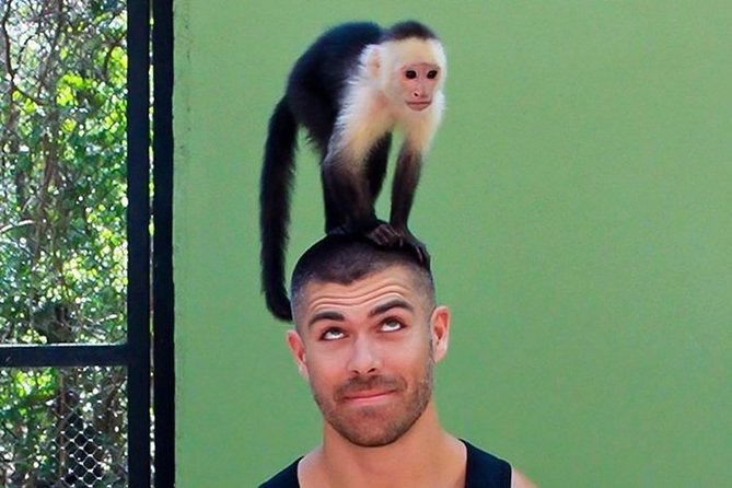 Akumal Monkey Sanctuary - The Role of Guides in Enhancing the Experience