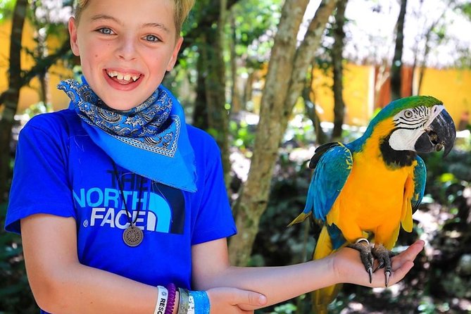 Akumal Monkey Sanctuary - Potential Limitations and Considerations