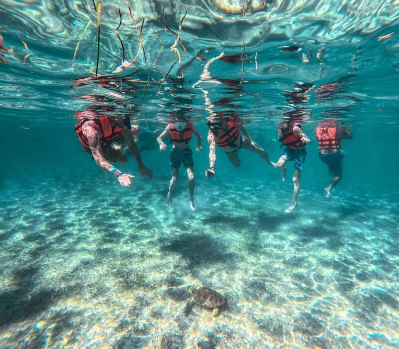 Akumal: Sea Turtles Snorkeling Tour with Park Entry Fee - Full Access to Tsuuk Akumal Natural Park Facilities and Beach Time