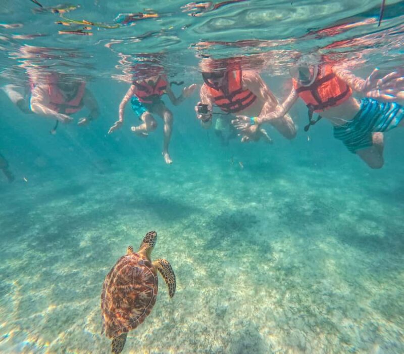Akumal: Sea Turtles Snorkeling Tour with Park Entry Fee - Comparing This Tour to Similar Akumal Snorkeling Experiences