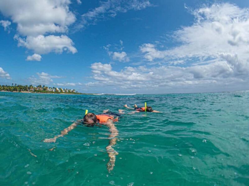 Akumal: Snorkeling and Turtle Watching Tour - Practical Amenities and Comfort Facilities