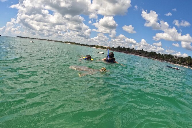 Akumal; Snorkeling with The Sea Turtles - Key Points