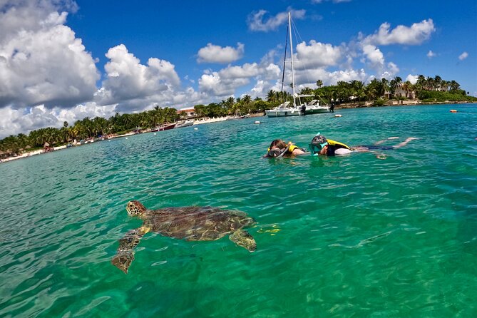 Akumal; Snorkeling with The Sea Turtles - Comparing This Tour to Other Akumal Experiences