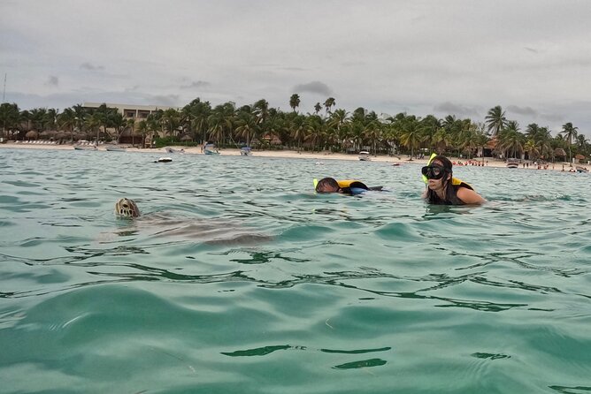 Akumal; Snorkeling with The Sea Turtles - Frequently Asked Questions