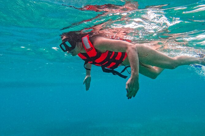 Akumal Snorkeling With Turtles - Comparing This Tour to Other Akumal Activities