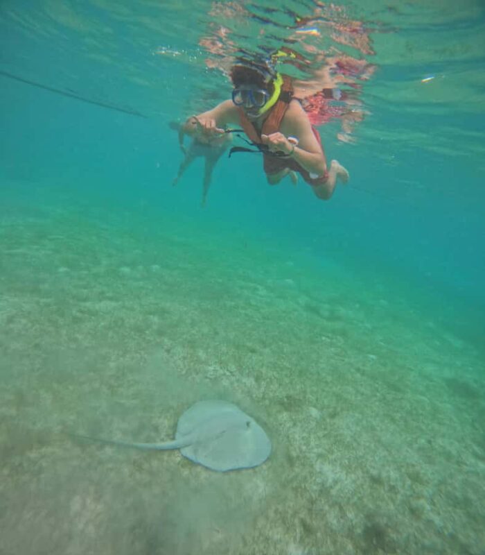 Akumal: Swim in Yalkuito and a cenote water outlet + Snorkel with turtles - Explore Akumal’s Unique Water Experiences in Just 2.5 Hours