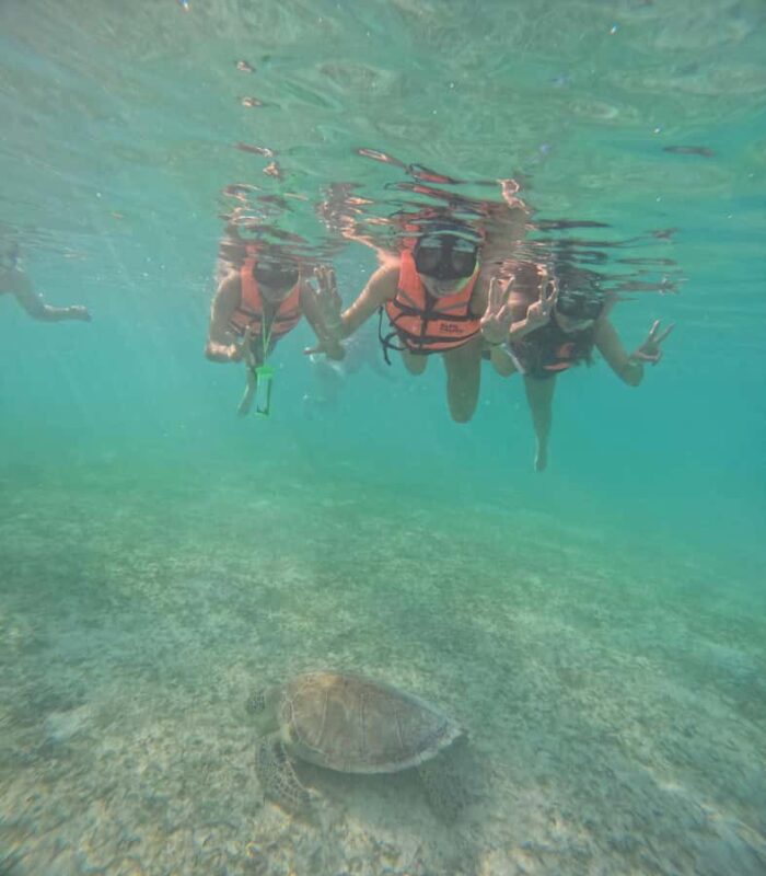 Akumal: Swim in Yalkuito and a cenote water outlet + Snorkel with turtles - Speedboat Transfers to Yal Kuito Lagoon