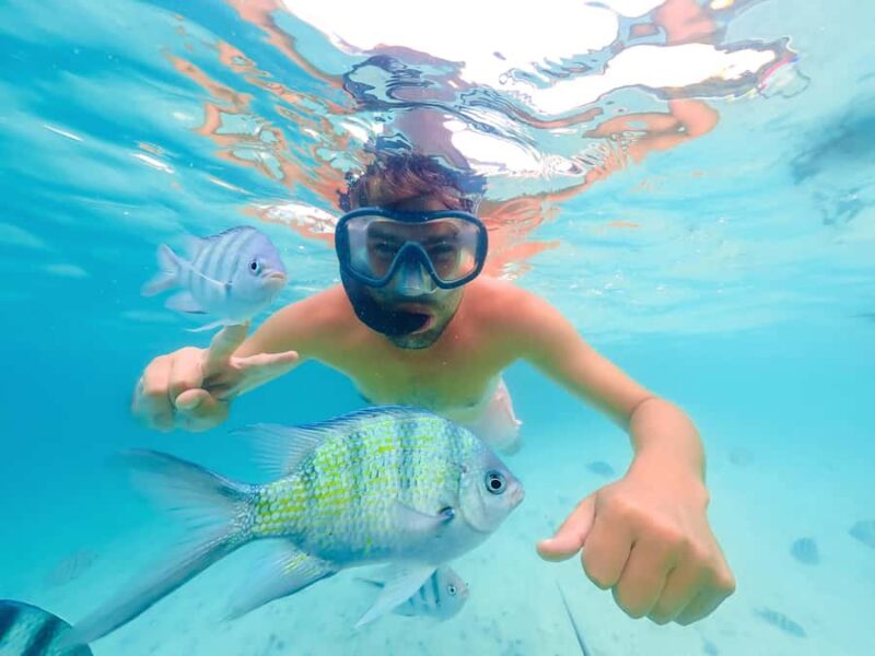 Akumal: Swim with Turtles in a Natural Paradise - Discover Akumals Turtle Sanctuary with a Guided Snorkeling Tour