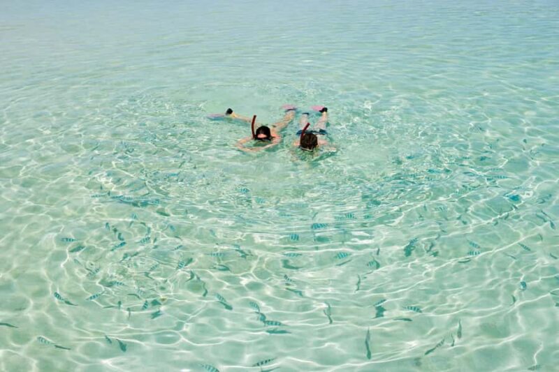 Akumal: Swim with Turtles in a Natural Paradise - Exploring the Waters of Tsúuk Akumal Natural Park