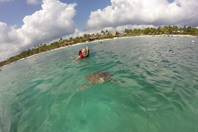 Akumal turtles sanctuary and go pro photos - Expert Guides and Personalized Service