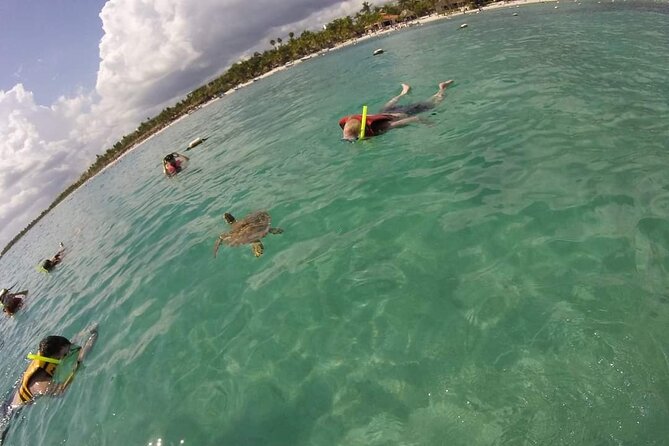 Akumal turtles sanctuary and go pro photos - Flexible Scheduling and Cancellation Policy