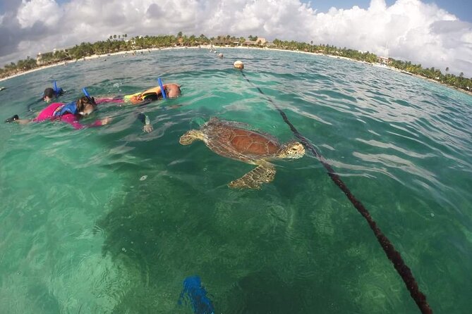 Akumal turtles sanctuary and go pro photos - Who Will Appreciate This Tour Most?
