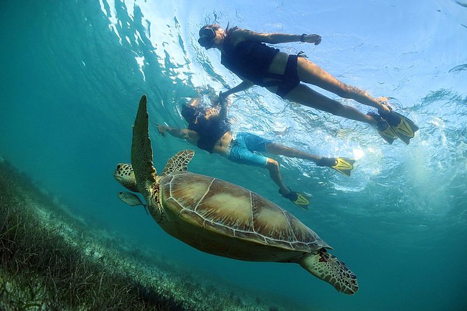 Akumal Turtles, Snorkel Tour from Cancun or Riviera Maya - Additional Fees and Restrictions