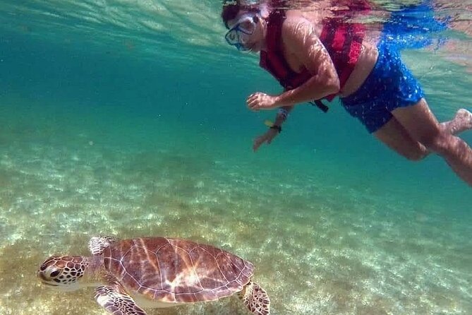 Akumal Turtles Snorkeling and GoPro pictures - Comparing this Tour to Other Akumal Experiences