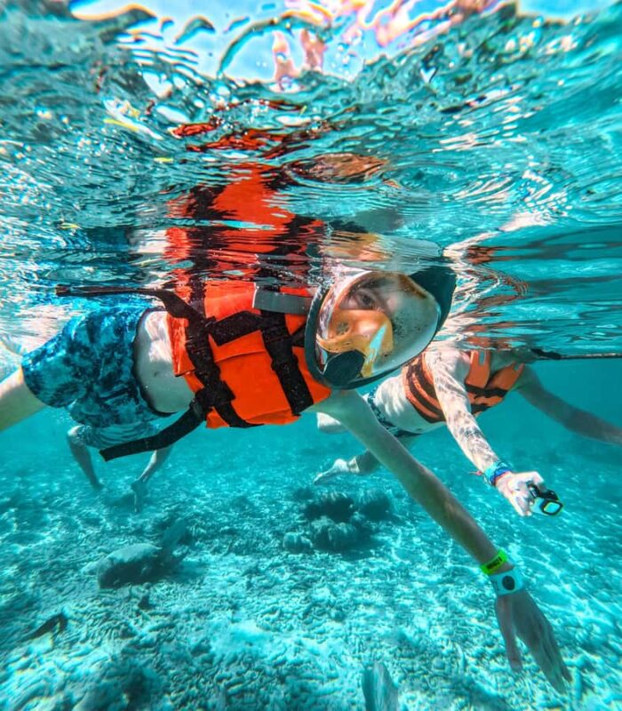 Akumal: Turtles Snorkeling Tour at Natural Paradise - The Itinerary and Practical Details of the Tour