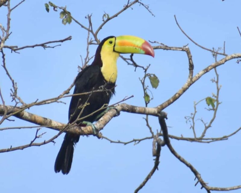 Akumal: Uxuxubi Ecotourism Trip with Kayaking - Exploring the Natural Beauty of Uxuxubi