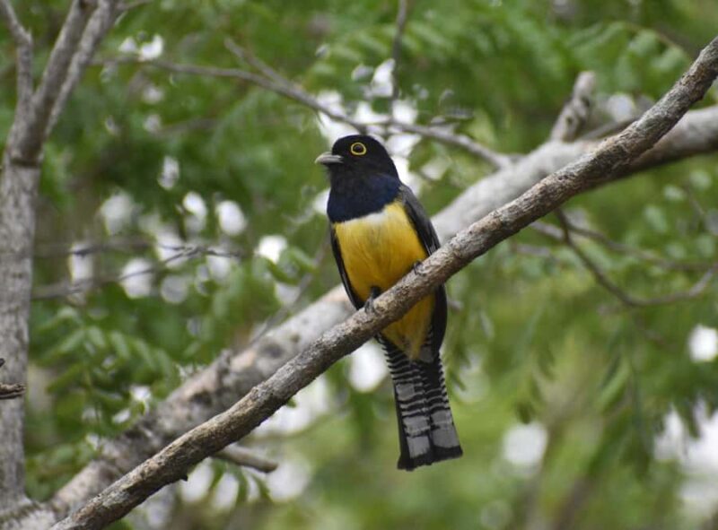 Akumal: Uxuxubi Ecotourism Trip with Kayaking - Sustainability and Community Support