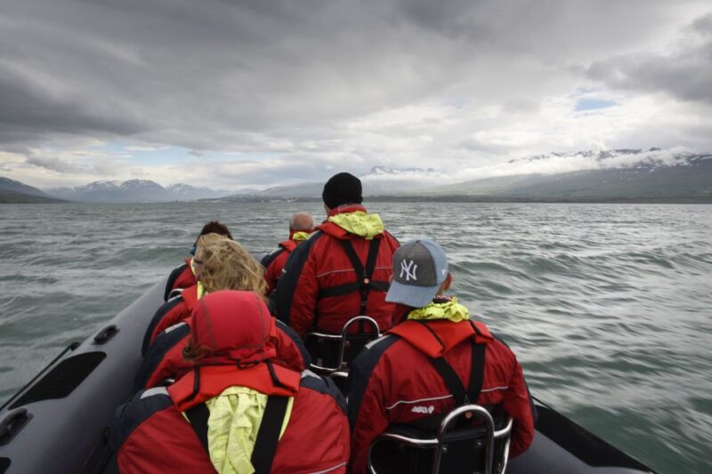 Akureyri: 2-Hour Whale Watching Express by RIB Speedboat - What’s Included in the Tour