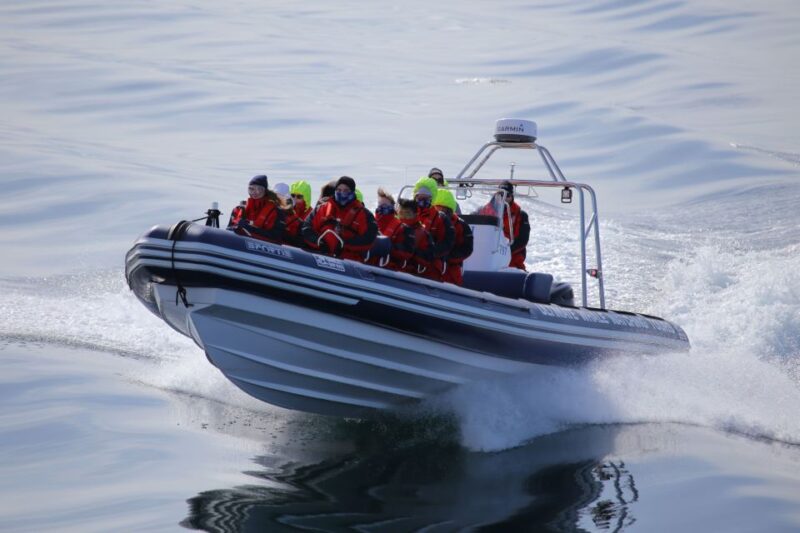 Akureyri: 2-Hour Whale Watching Express by RIB Speedboat - What to Wear and Prepare For