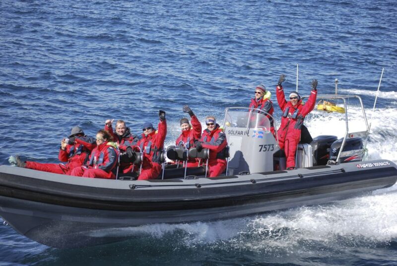 Akureyri: 2-Hour Whale Watching Express by RIB Speedboat - Comparing the RIB Experience to Larger Tours