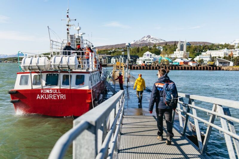 Akureyri: 3-Hour Classic Whale Watching Tour by Ship - Who Will Enjoy This Tour Most?