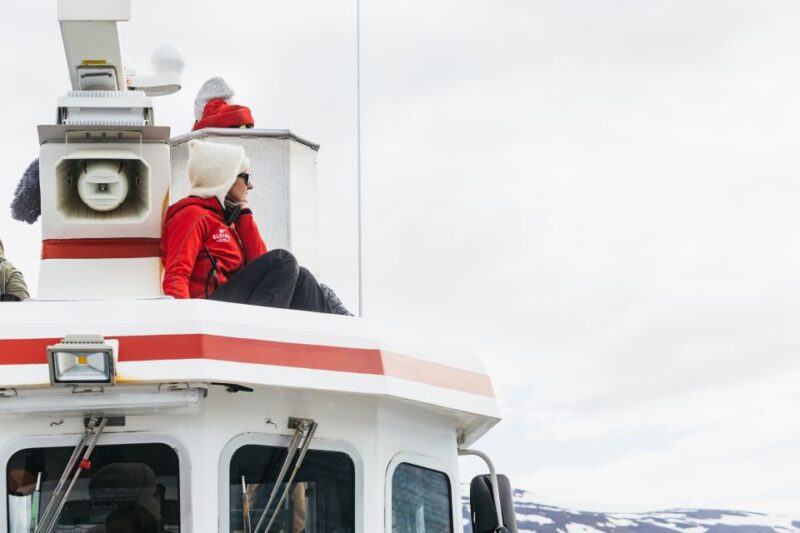 Akureyri: 3-Hour Classic Whale Watching Tour by Ship - The Sum Up: A Reliable Choice for Whale Encounters in Akureyri