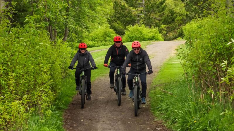 Akureyri: E-Bike Tour with Forest Lagoon Entry - Exploring Kjarnaskógur Forests Trails and Tracks
