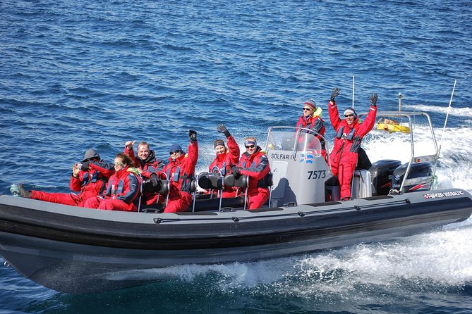Akureyri Express Whale Watching by RIB boat - Comparing the Tour to Similar Options