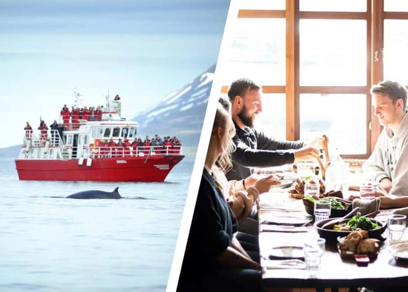 Akureyri: Food Walk and Whale Watching Tour - Akureyri Food Walk: Sampling Iconic Icelandic Dishes