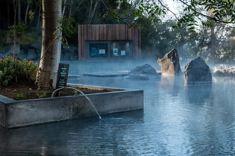 Akureyri: Northern Lights Hunt with Forest Lagoon Entry - Key Points