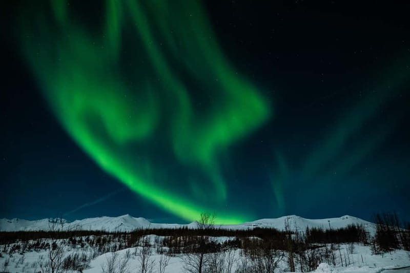 Akureyri: Northern Lights Hunt with Forest Lagoon Entry - The Scenic Route in Eyjafjord for Aurora Watching