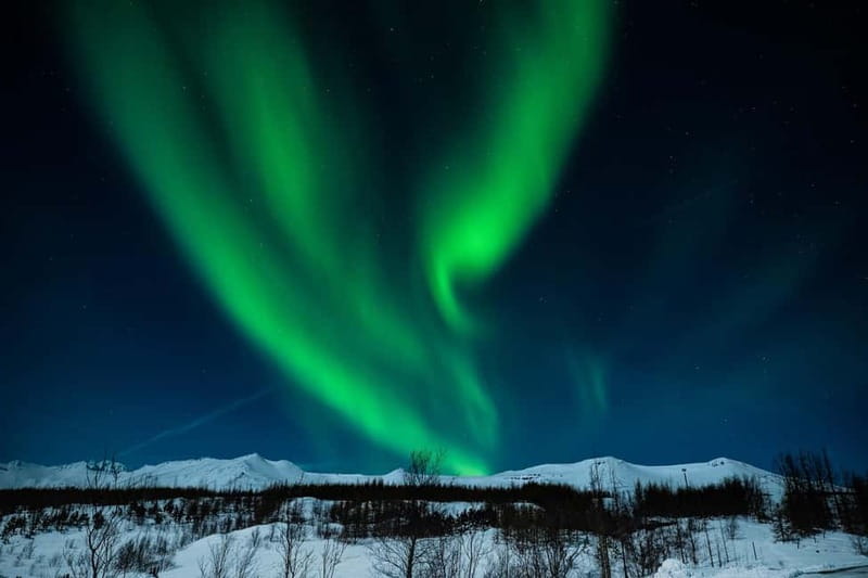 Akureyri: Northern Lights Hunt with Forest Lagoon Entry - About Saga Travel, the Experience Provider