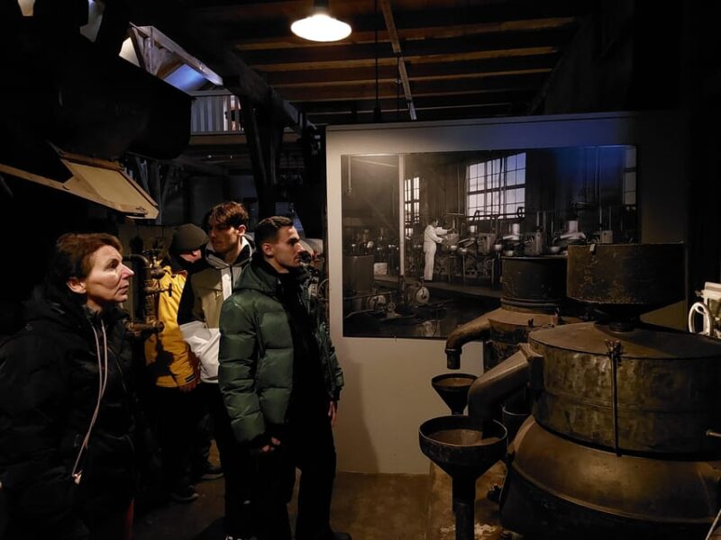 Akureyri-Siglufjörður; Half day to the arctic coastline - Scenic Drive and Return to Akureyri