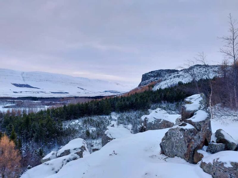 Akureyri: Snowshoeing with The Traveling Viking - Key Points