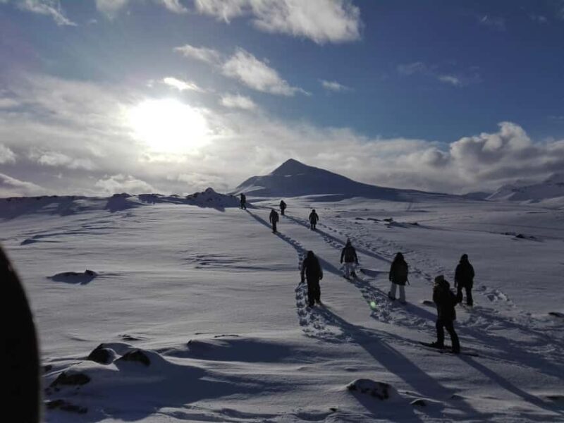 Akureyri: Snowshoeing with The Traveling Viking - The Scenic Beauty of North Iceland