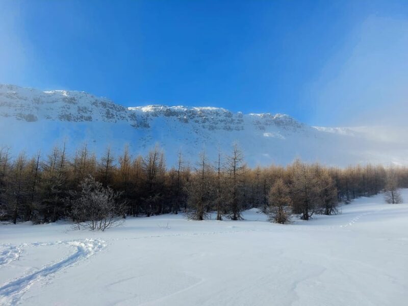 Akureyri: Snowshoeing with The Traveling Viking - The Snowshoeing Experience: Equipment and Lessons