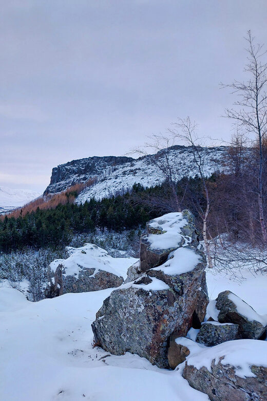 Akureyri: Snowshoeing with The Traveling Viking - Return to Akureyri and Drop-off Points
