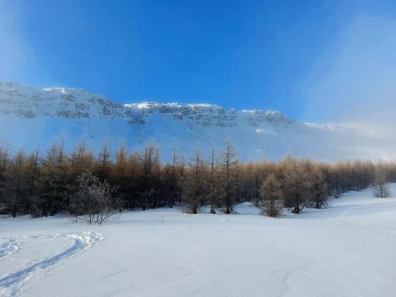 Akureyri: Snowshoeing with The Traveling Viking - Why Choose This Snowshoeing Tour in Akureyri?