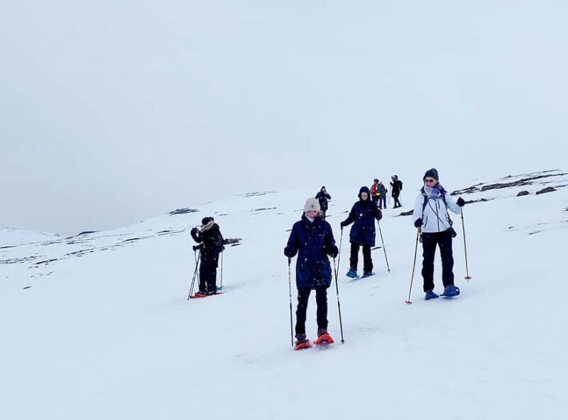 Akureyri: Snowshoeing with The Traveling Viking - Final Thoughts on Akureyri Snowshoeing with The Traveling Viking
