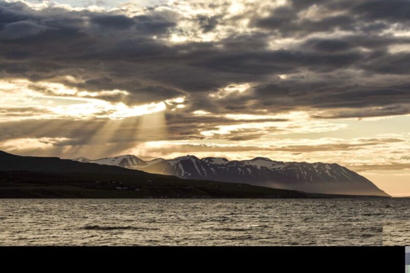 Akureyri: Whale Watching in the Midnight Sun - Departure Point and Practical Details
