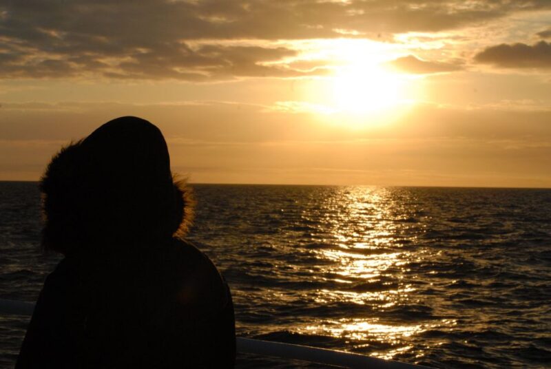 Akureyri: Whale Watching in the Midnight Sun - Pricing, Cancellation, and Booking Flexibility