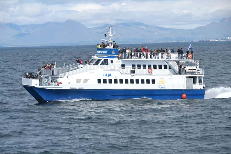 Akureyri: Whale Watching Shore Excursions - Cost and Booking Flexibility