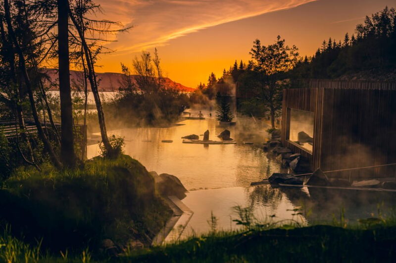 Akureyri: Whale Watching Tour & Forest Lagoon Entrance - Key Points