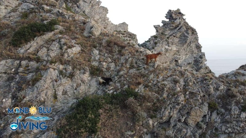 "Al Tramonto sulla Costa degli Dei: Emozioni in Mare" - Key Points