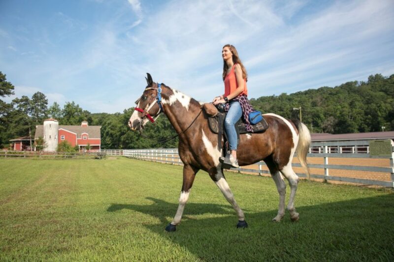 Alabama: Birmingham Area Multi-Attraction Pass - Limitations and Considerations Based on Reviews