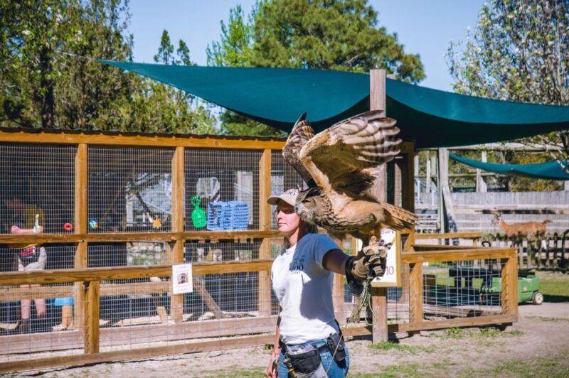 Alabama: Gulf Shores/Orange Beach Area Multi-Attraction Pass - Access to Gulf Coasts Top Attractions with One Pass