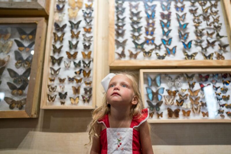 Alabama: Gulf Shores/Orange Beach Area Multi-Attraction Pass - Discovering Historic Blakeley State Park