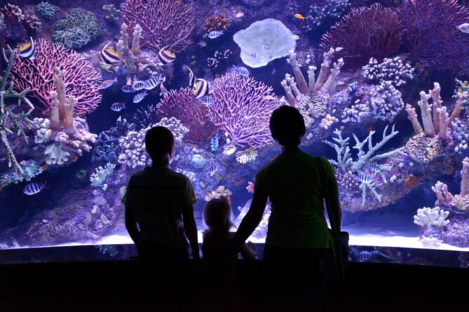 Alanya: Aquarium, Wax Museum, Snow World, Wild Park, XD Cinema - Who Should Consider This Tour?