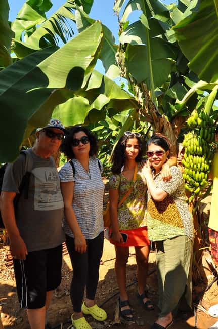 Alanya: Cabrio Bus Safari, Dim Cave w/Lunch at Dimcay River - Lunch at a Riverside Restaurant by Dimçay River