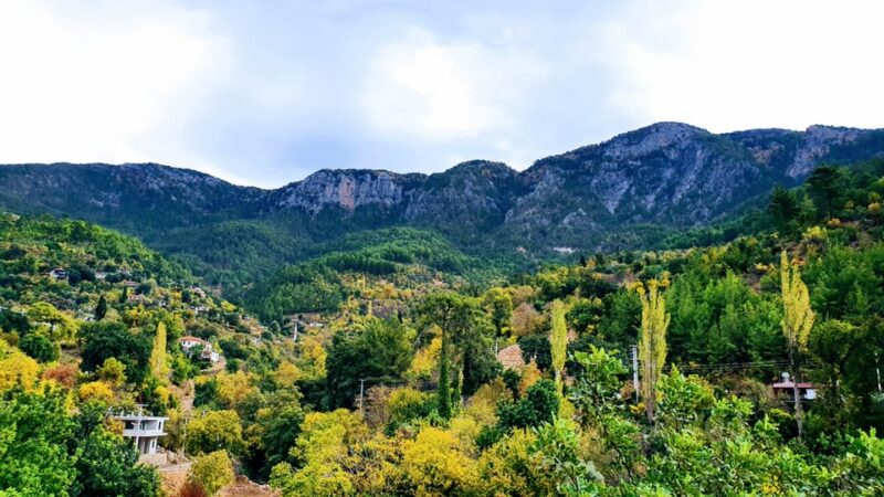 Alanya: Dim Cave and Dimçay River Adventure Tour - Jeep Ride Through Taurus Mountains and Additional Stops